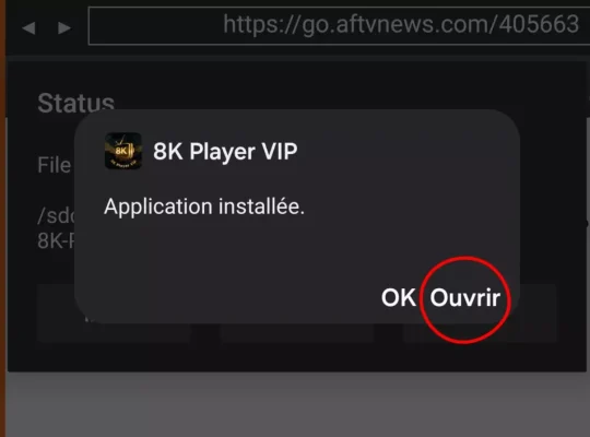 8k player vip (24)